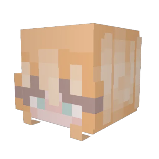1979mazdarx7 Minecraft avatar head, 3D render