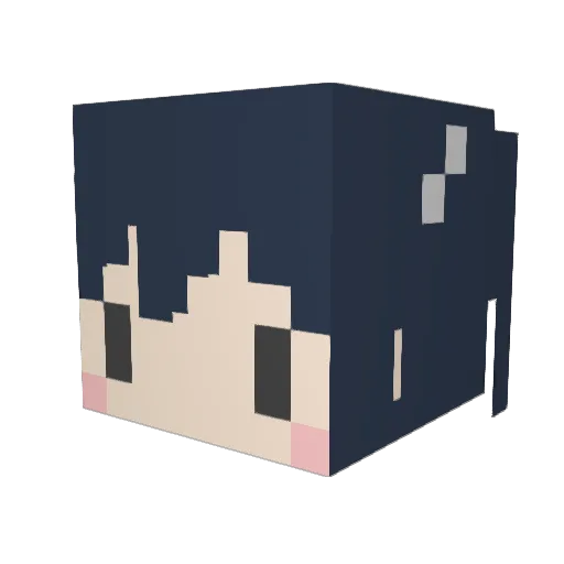 1991122526 Minecraft avatar head, 3D render