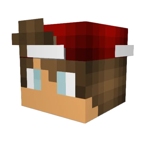 19Tom04 Minecraft avatar head, 3D render
