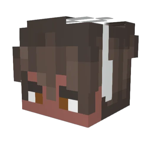 19kc Minecraft avatar head, 3D render