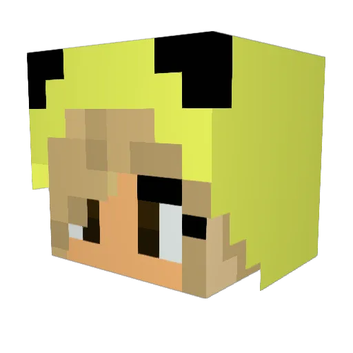 19miri99 Minecraft avatar head, 3D render
