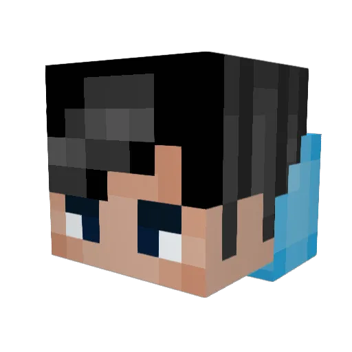 19tristan98 Minecraft avatar head, 3D render