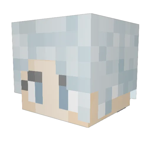 1AL_16 Minecraft avatar head, 3D render