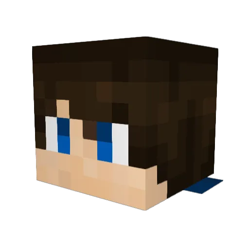 1A_r_t1 Minecraft avatar head, 3D render