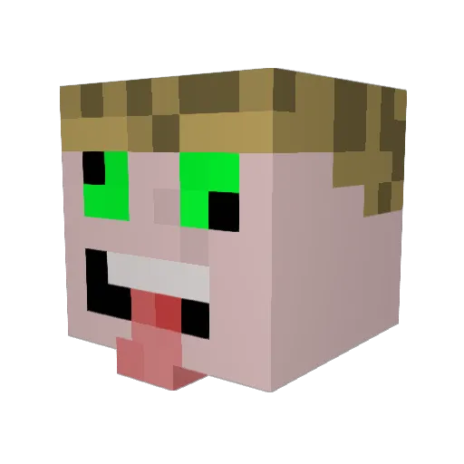 1Acorn1 Minecraft avatar head, 3D render