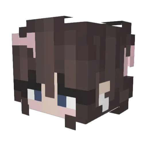 1Aleen Minecraft avatar head, 3D render