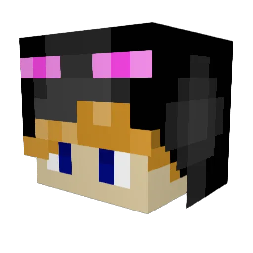 1BrOkEn8 Minecraft avatar head, 3D render
