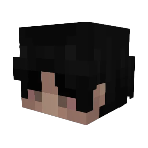 1CAPTIN_ Minecraft avatar head, 3D render