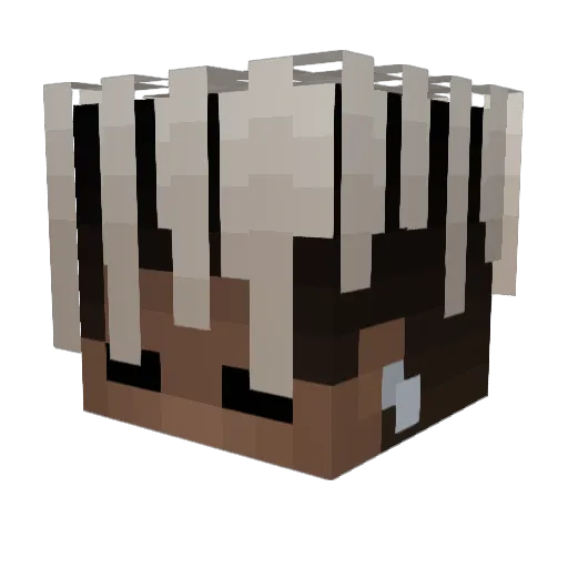 1CLAYMAN1 Minecraft avatar head, 3D render