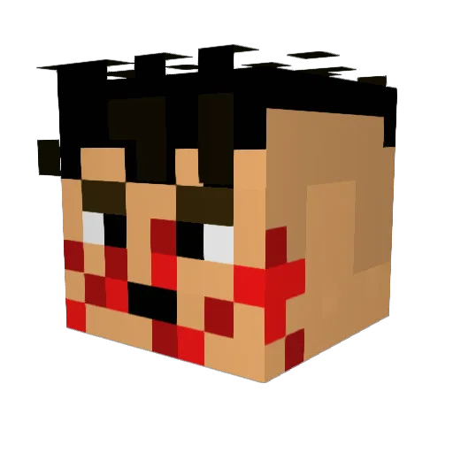 1ChickenLeg Minecraft avatar head, 3D render