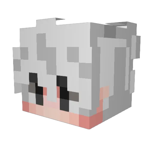 1Cignus Minecraft avatar head, 3D render