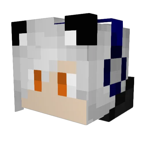 1CrazyDERP Minecraft avatar head, 3D render
