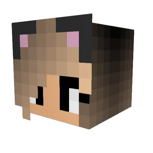 1CrazyJazzy Minecraft avatar head, 3D render