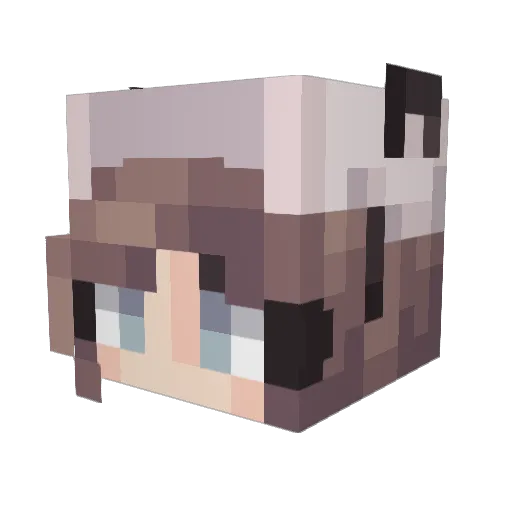 1D1 Minecraft avatar head, 3D render
