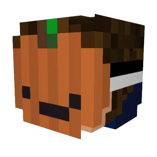 1DanyTiger Minecraft avatar head, 3D render