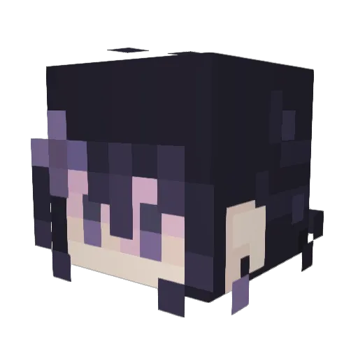 1DarkSenkoToast1 Minecraft avatar head, 3D render