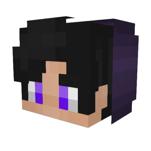 1Darshan Minecraft avatar head, 3D render