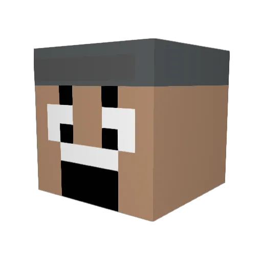 1Doctor Minecraft avatar head, 3D render