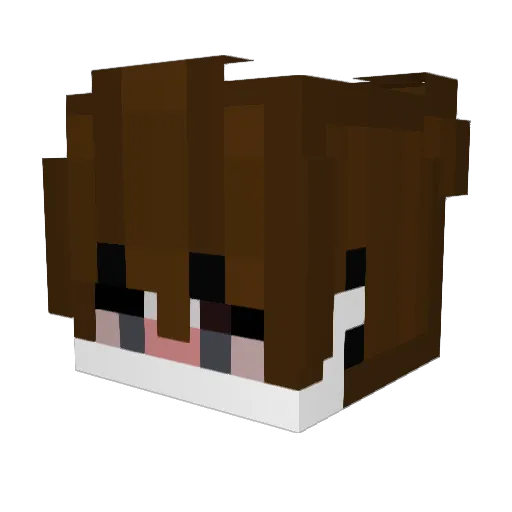 1Dolarito Minecraft avatar head, 3D render