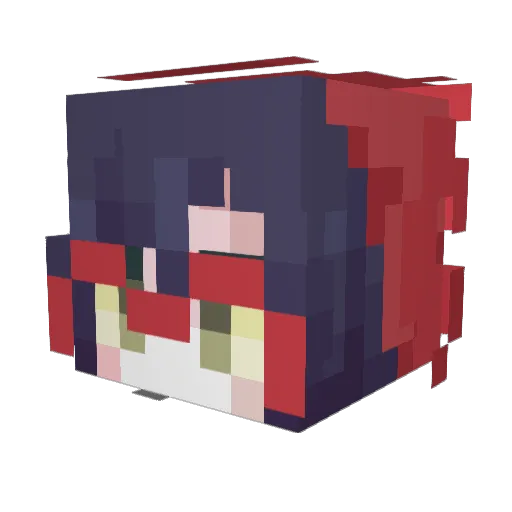 1DontEx1st Minecraft avatar head, 3D render