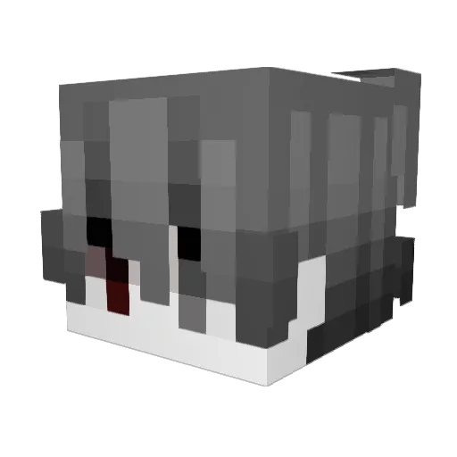 1Dred1 Minecraft avatar head, 3D render