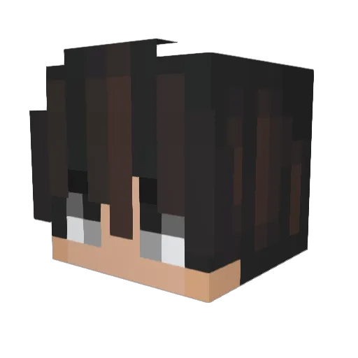 1Dross Minecraft avatar head, 3D render