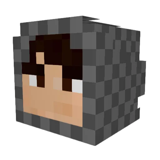 1Element4L_ Minecraft avatar head, 3D render