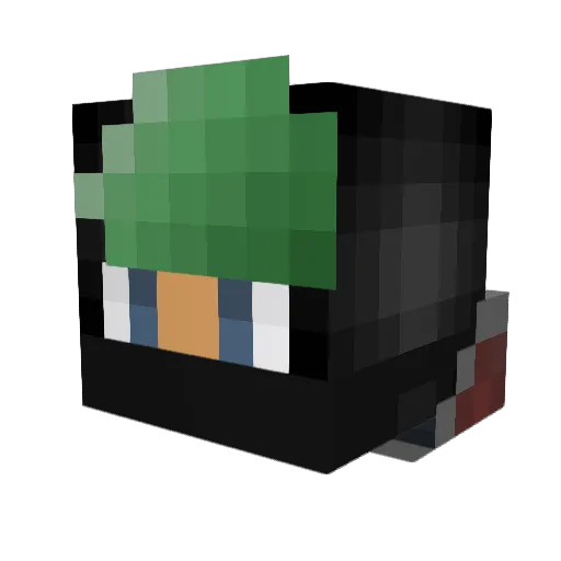 1EnderGuardian1 Minecraft avatar head, 3D render