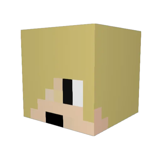 1EvanTheGreat1 Minecraft avatar head, 3D render