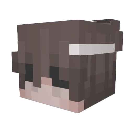 1Eyad Minecraft avatar head, 3D render