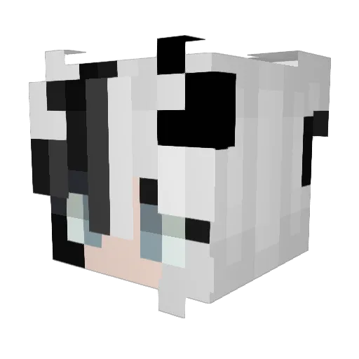 1Faye2 Minecraft avatar head, 3D render