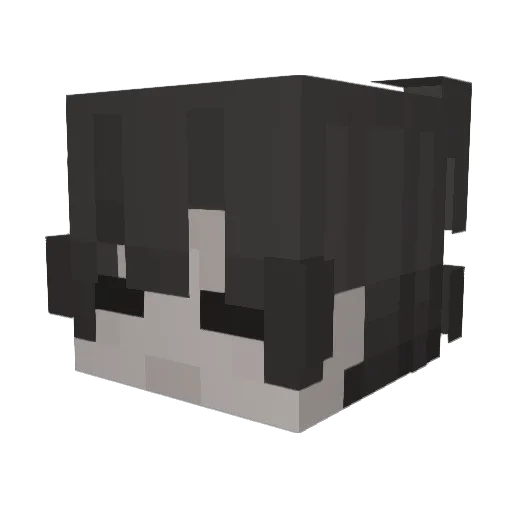 1FlaYM Minecraft avatar head, 3D render