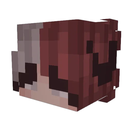 1Flogdog1 Minecraft avatar head, 3D render