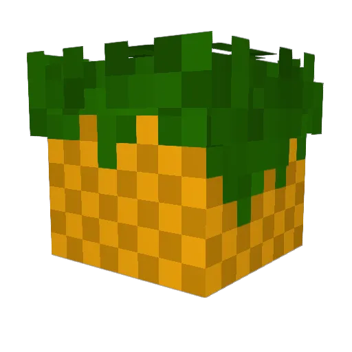 1FruitWizard1 Minecraft avatar head, 3D render