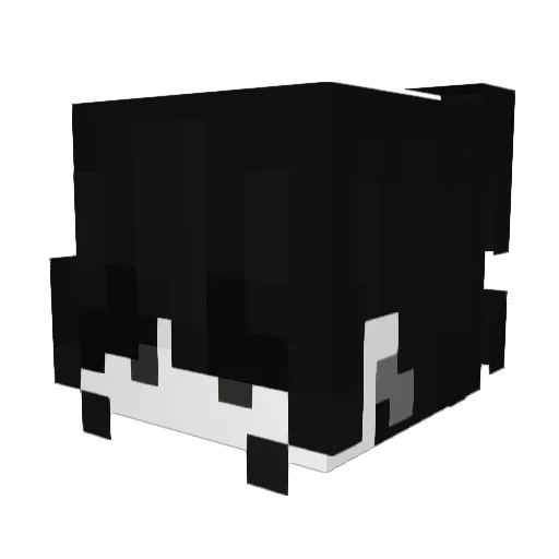 1Fussel Minecraft avatar head, 3D render