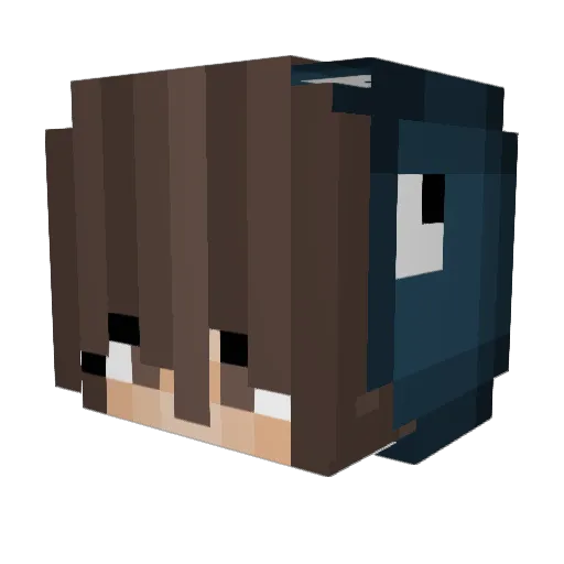1Girl1Win Minecraft avatar head, 3D render