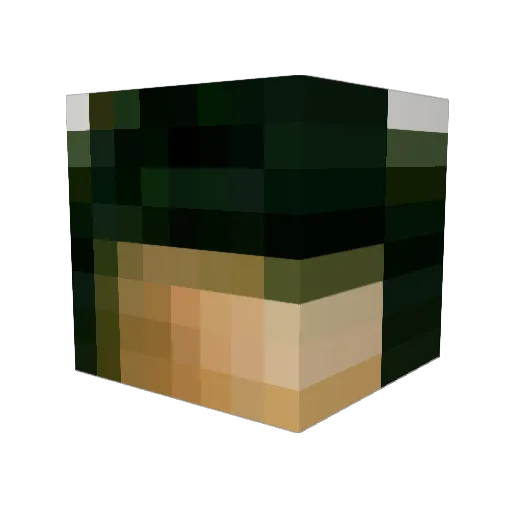 1Gonso Minecraft avatar head, 3D render