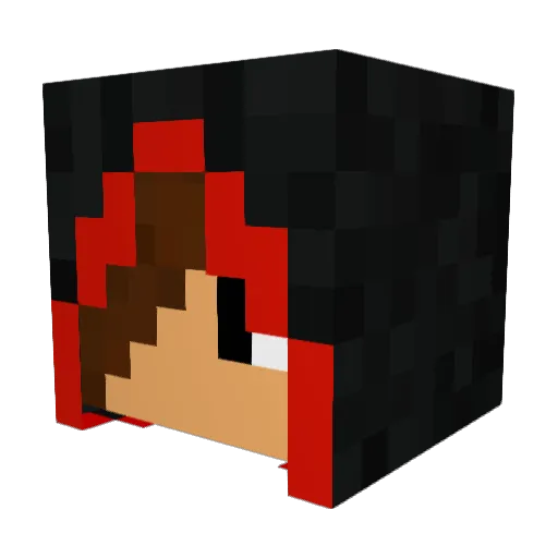 1H4F Minecraft avatar head, 3D render
