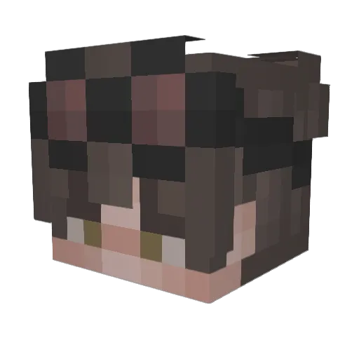 1Hobbyloser Minecraft avatar head, 3D render