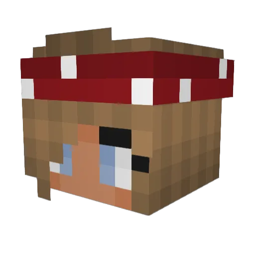 1Hutchi5 Minecraft avatar head, 3D render