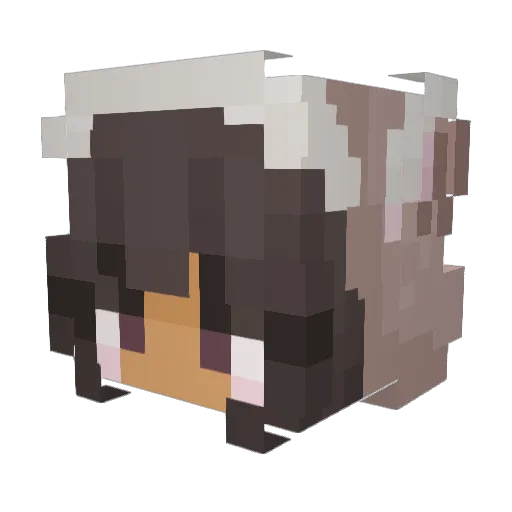 1Illusions Minecraft avatar head, 3D render