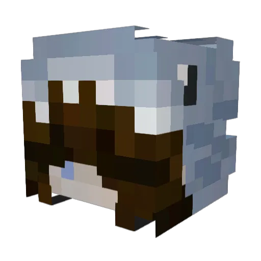 1Iris_ Minecraft avatar head, 3D render