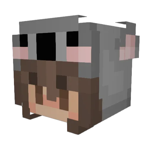 1Item Minecraft avatar head, 3D render