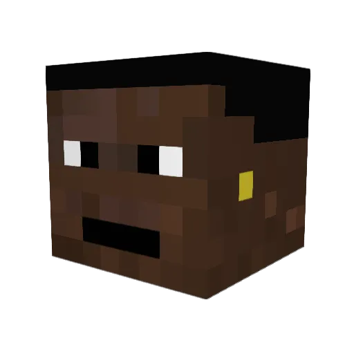 1JUWON Minecraft avatar head, 3D render