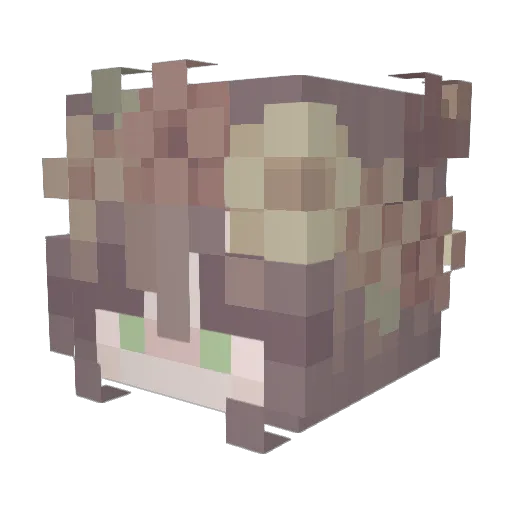 1July_ Minecraft avatar head, 3D render