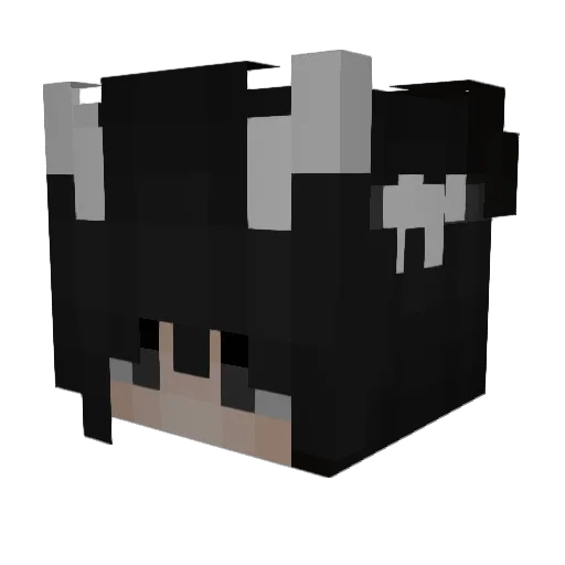 1KShotz Minecraft avatar head, 3D render