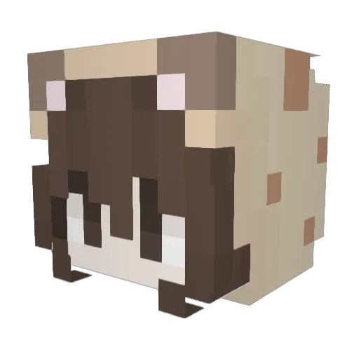 1Kraiz1 Minecraft avatar head, 3D render