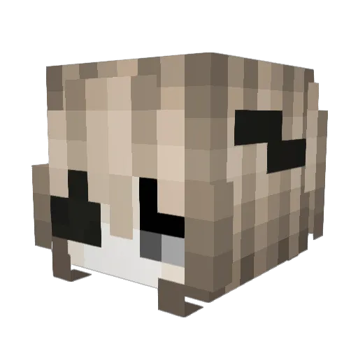 1Leg4lLyucc1e Minecraft avatar head, 3D render