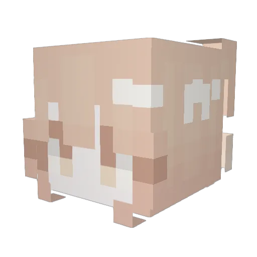 1Lesha Minecraft avatar head, 3D render