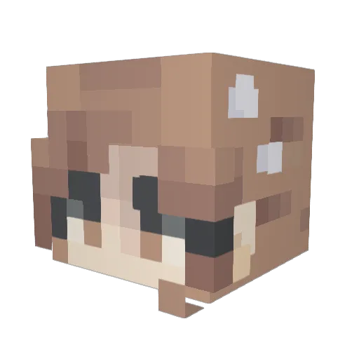 1Liepa1 Minecraft avatar head, 3D render